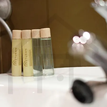 דירה El Rincon Del Campoamor - Piso Centrico En Oviedo. *